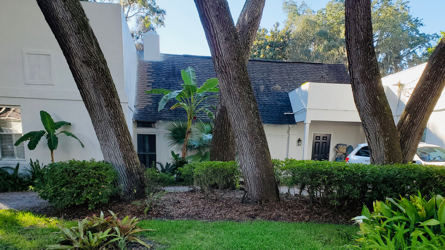 Lively Oaks*St. Simons, GA