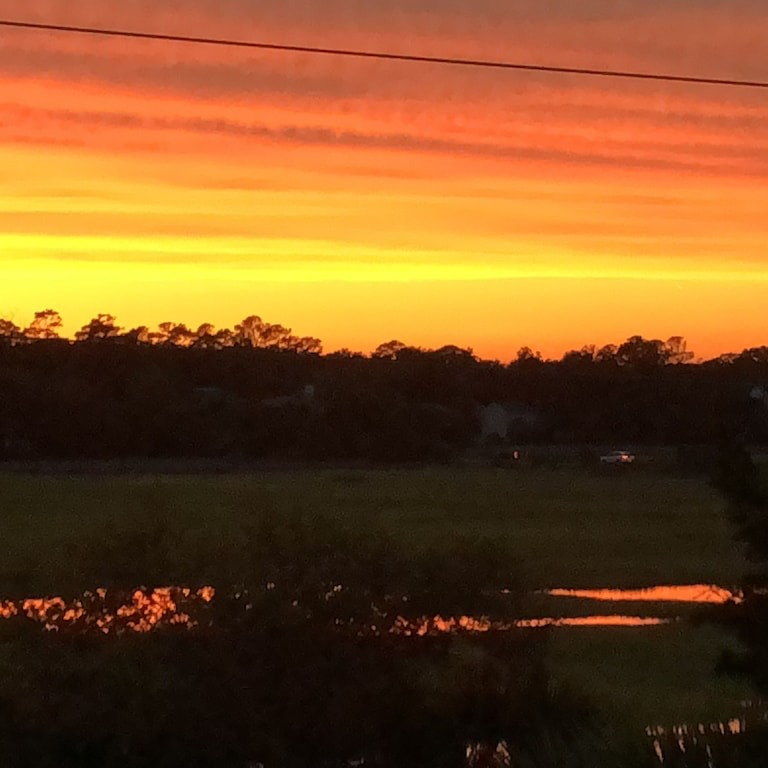 Seas The Day*St. Simons, GA