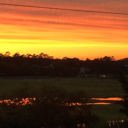 Seas The Day*St. Simons, GA