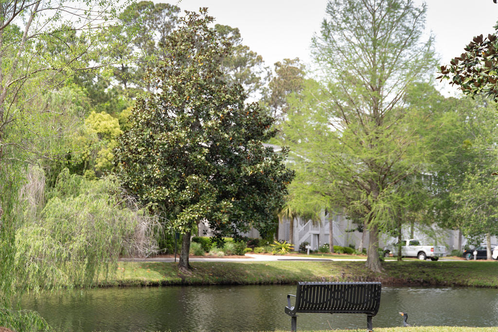 Relax with Pool, Garage +!*St. Simons, GA