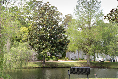 Relax with Pool, Garage +!*St. Simons, GA