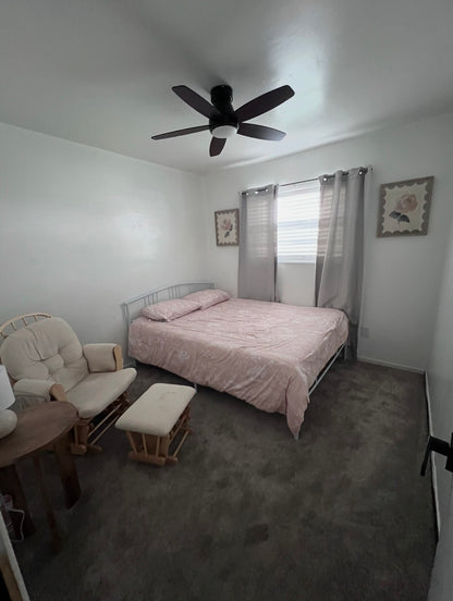 Cozy River Home*Carlsbad, NM