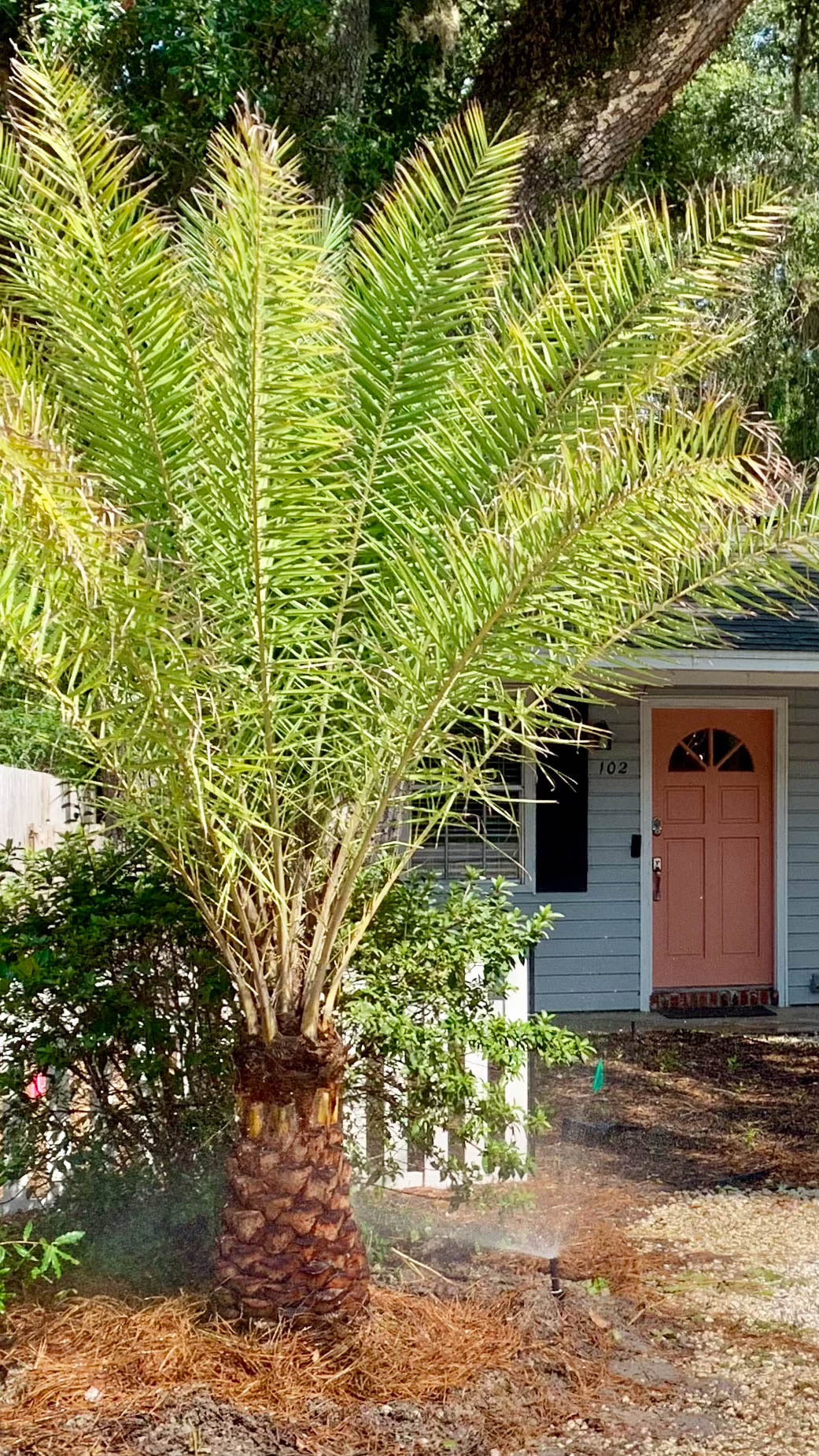 Peachtree Cottage*St. Simons, GA